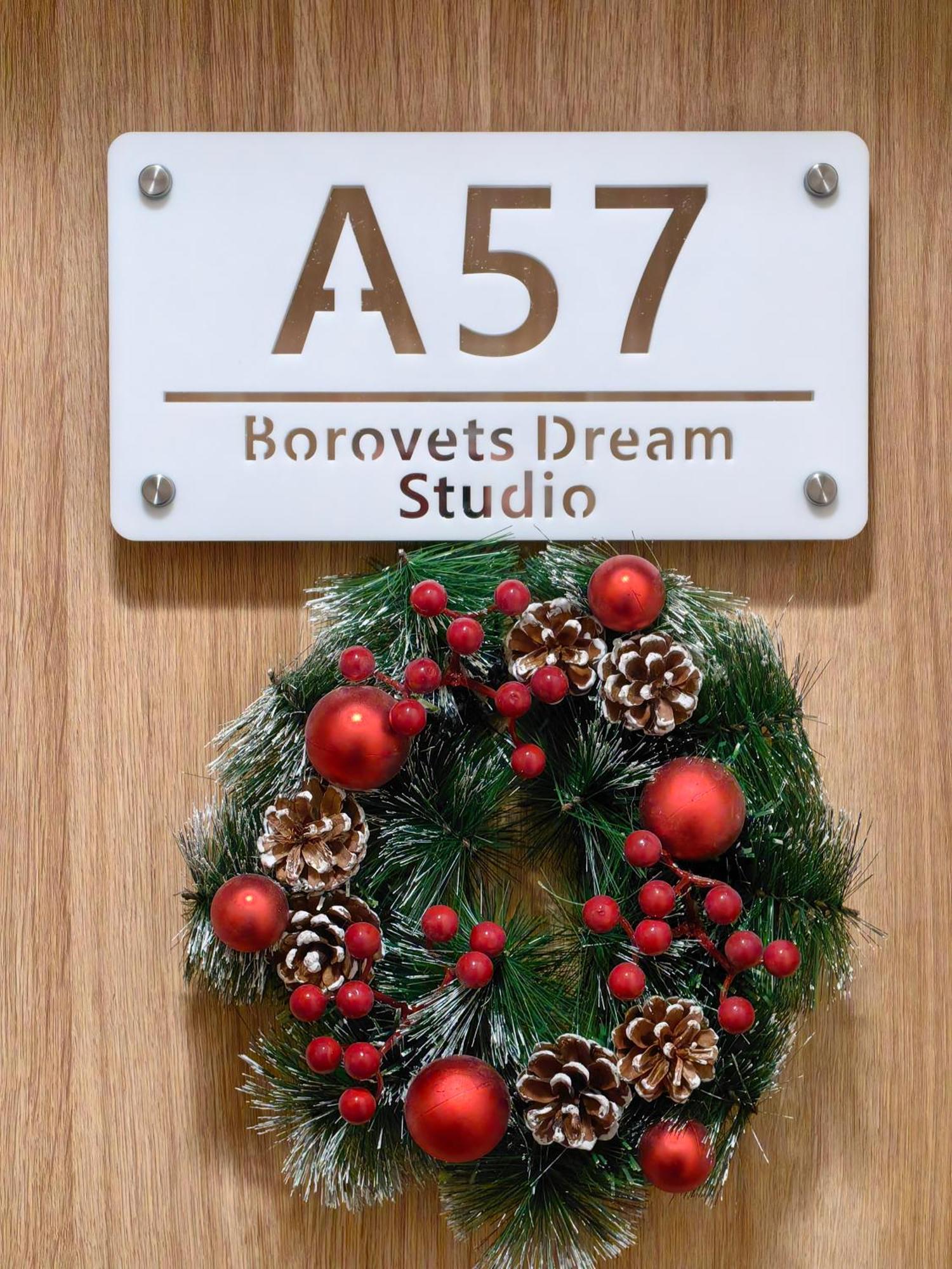Borovets Dream Studio Экстерьер фото